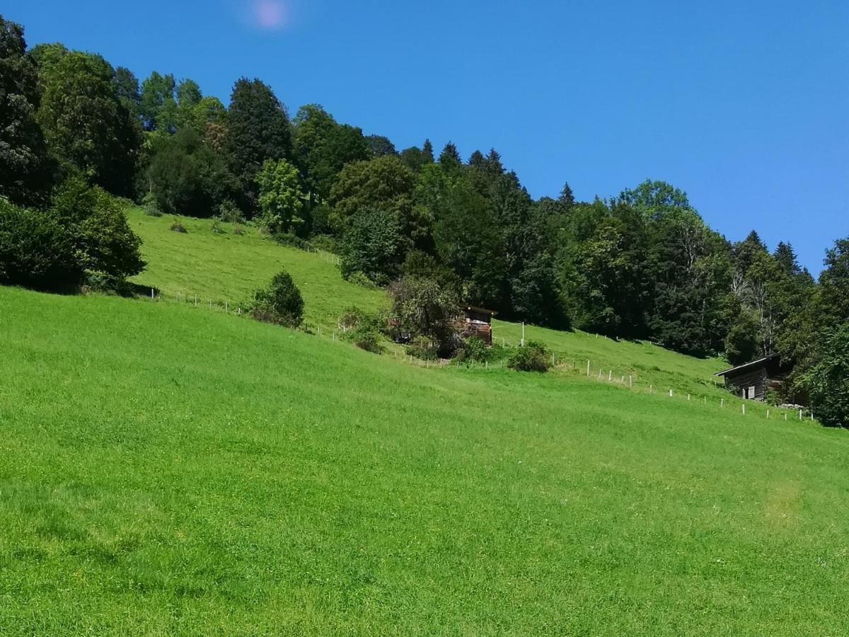 Appartement Maurer Niederau Esterno foto