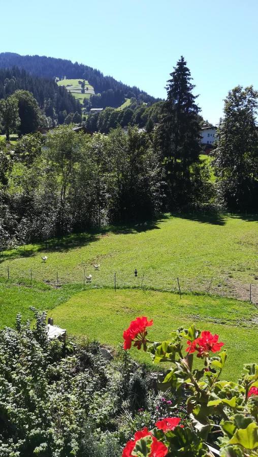 Appartement Maurer Niederau Esterno foto